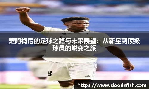 开云电竞官方网站