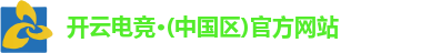 开云电竞·(中国区)官方网站